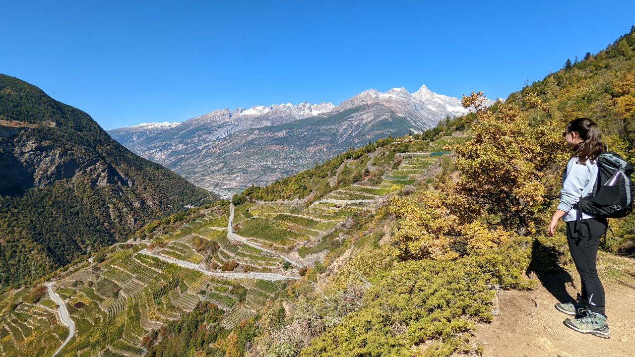 Vineyard terraces above Visp on the climb to Visperterminen